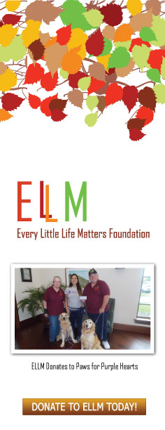 ELLM Tri-fold Brochure